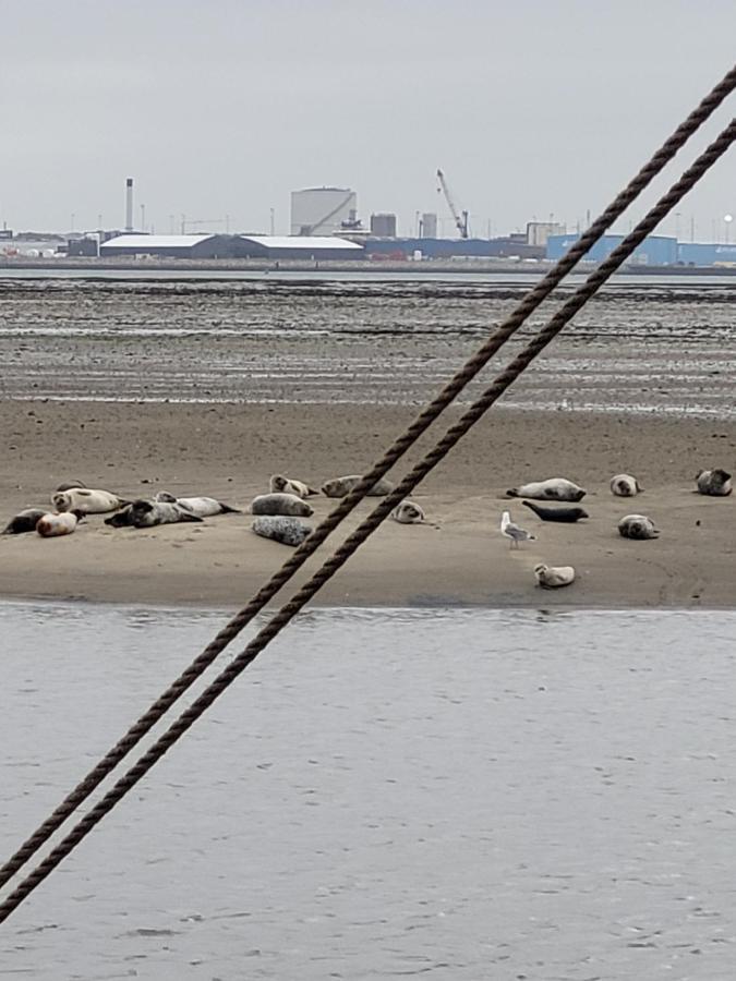 Det Bla Gaestehus Fanø Esterno foto