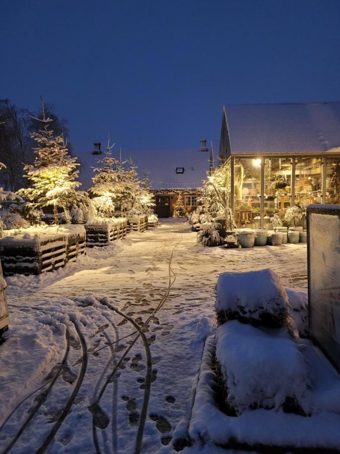 Det Bla Gaestehus Fanø Esterno foto