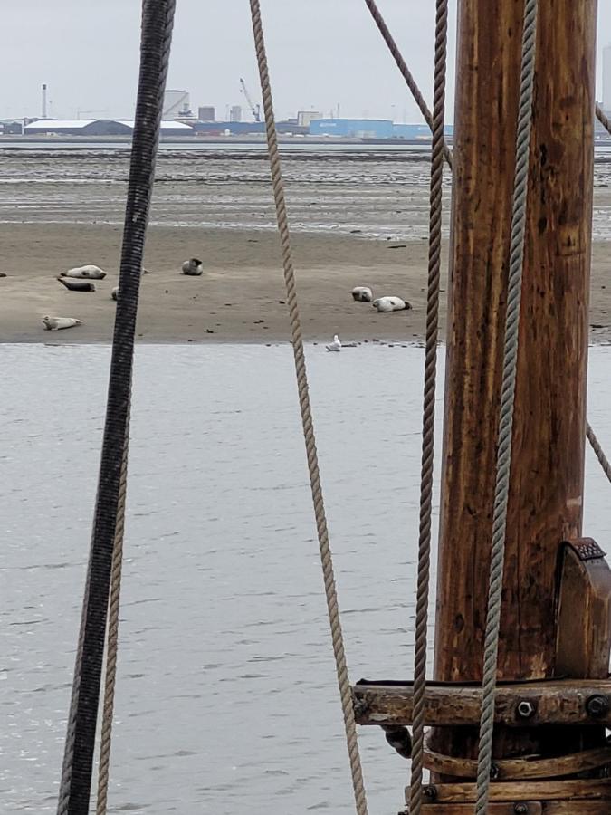 Det Bla Gaestehus Fanø Esterno foto